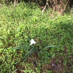 Meet your Posher, Sol